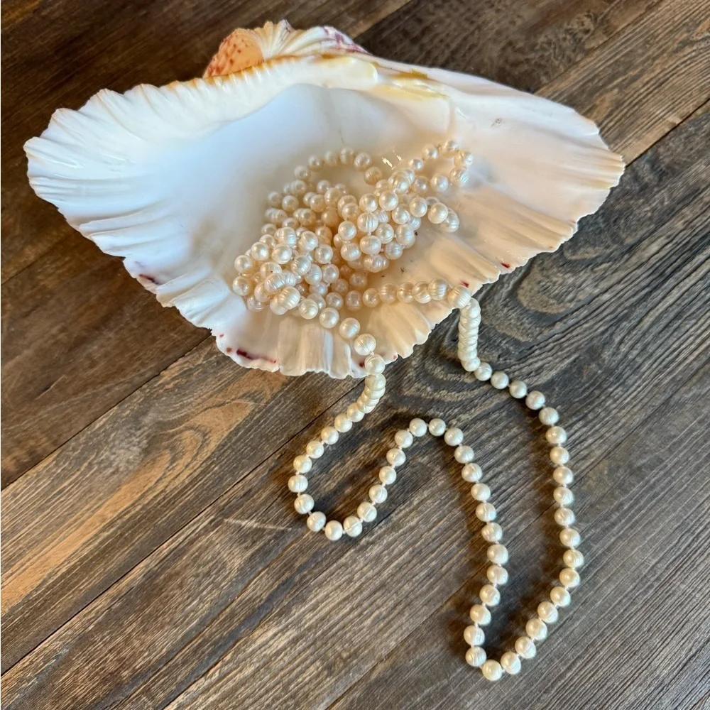 Vintage Large Bear Paw Clam Shell